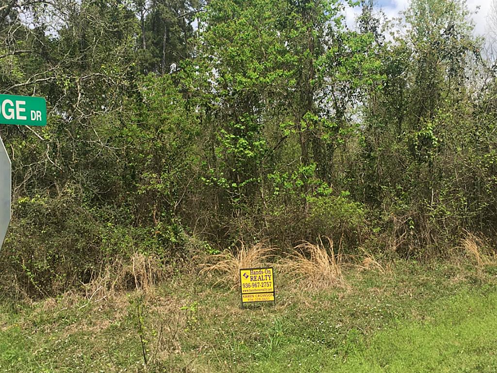 000 Lazy Hollow Lane, Livingston, TX 77351