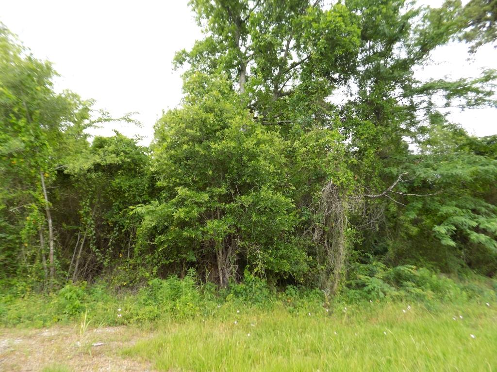 0 W Mill Street, Livingston, TX 77351
