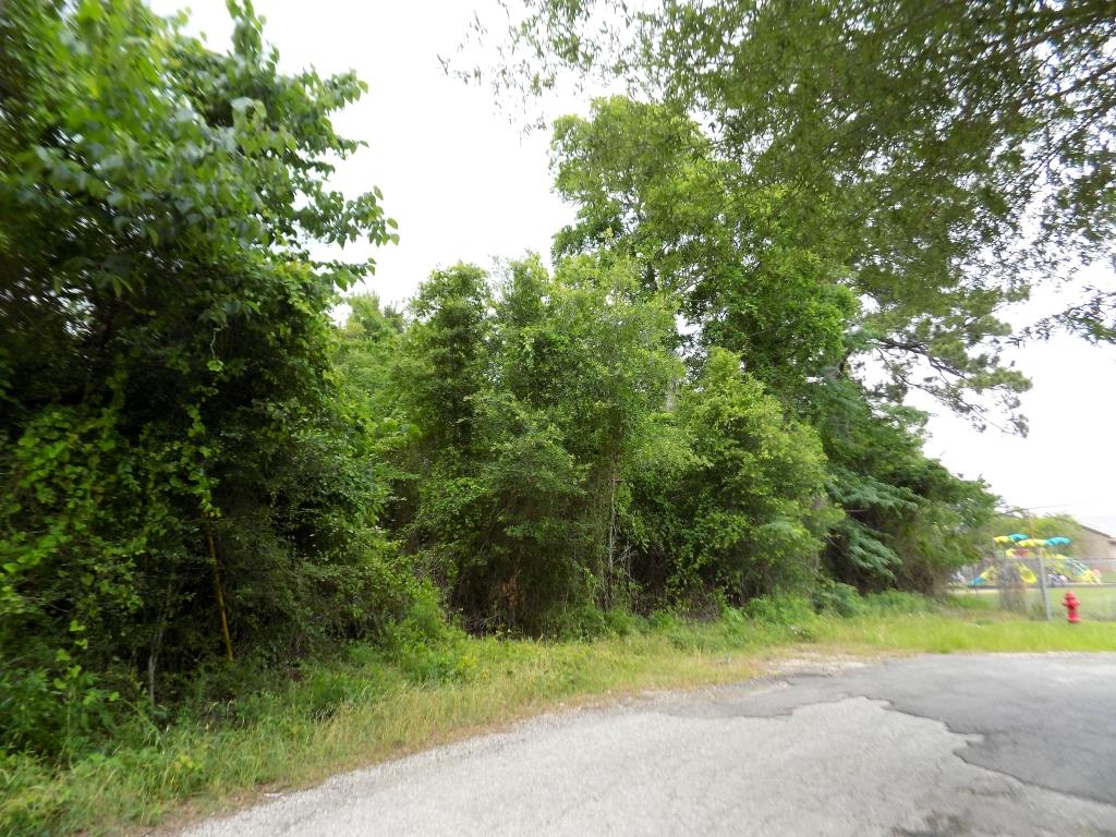 0 W Mill Street, Livingston, TX 77351