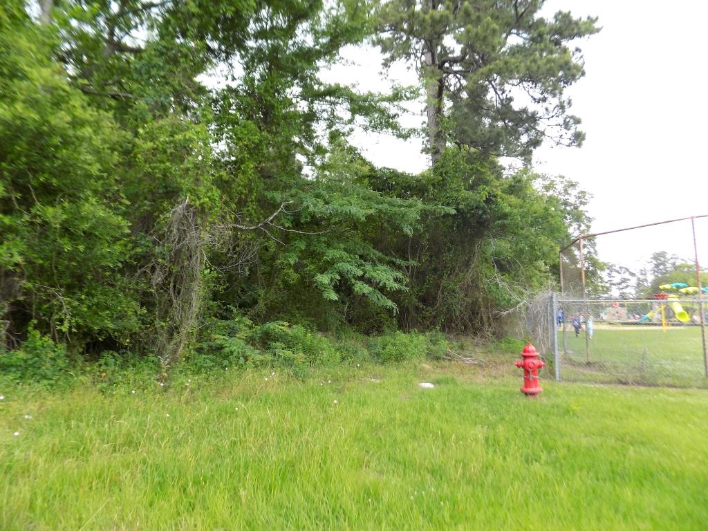 0 W Mill Street, Livingston, TX 77351