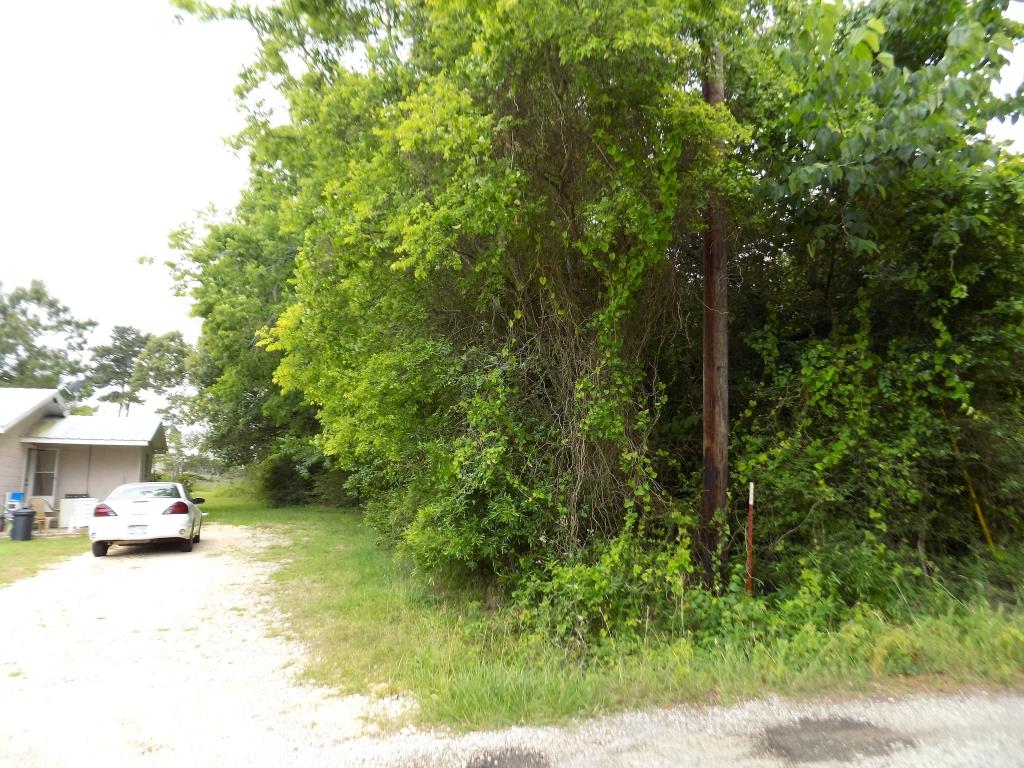 0 W Mill Street, Livingston, TX 77351