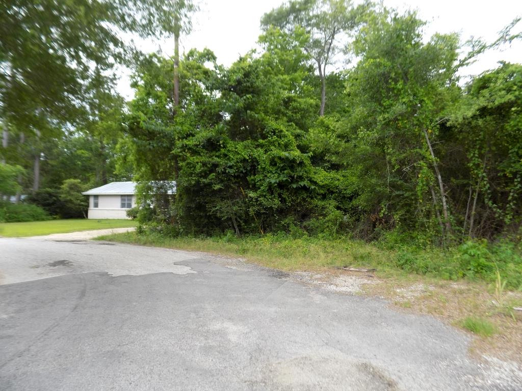 0 W Mill Street, Livingston, TX 77351