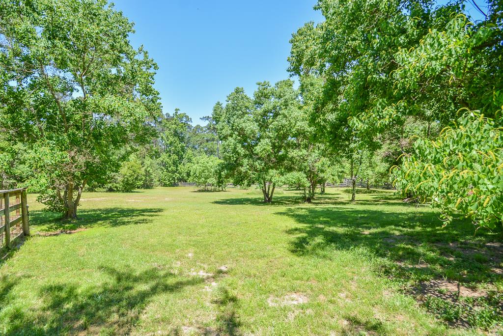 33211 Buckshot Lane, Magnolia, TX 77354