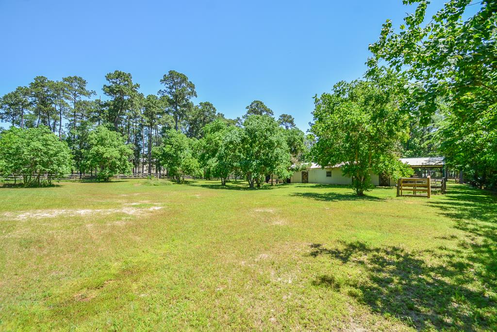 33211 Buckshot Lane, Magnolia, TX 77354