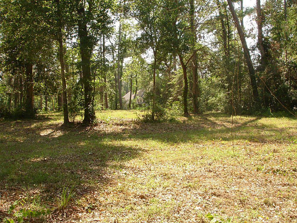 1094 Autumnwood Drive, Magnolia, TX 77354