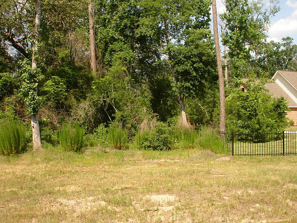 1094 Autumnwood Drive, Magnolia, TX 77354