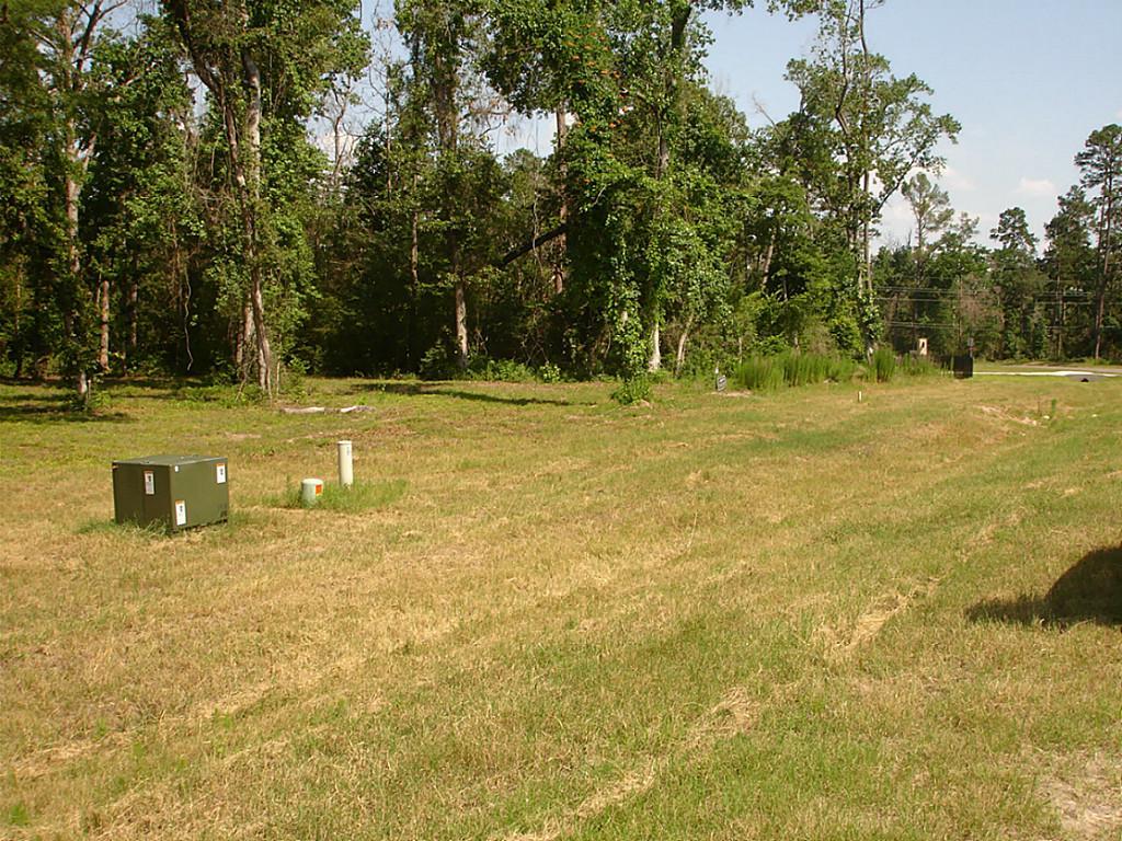 1094 Autumnwood Drive, Magnolia, TX 77354