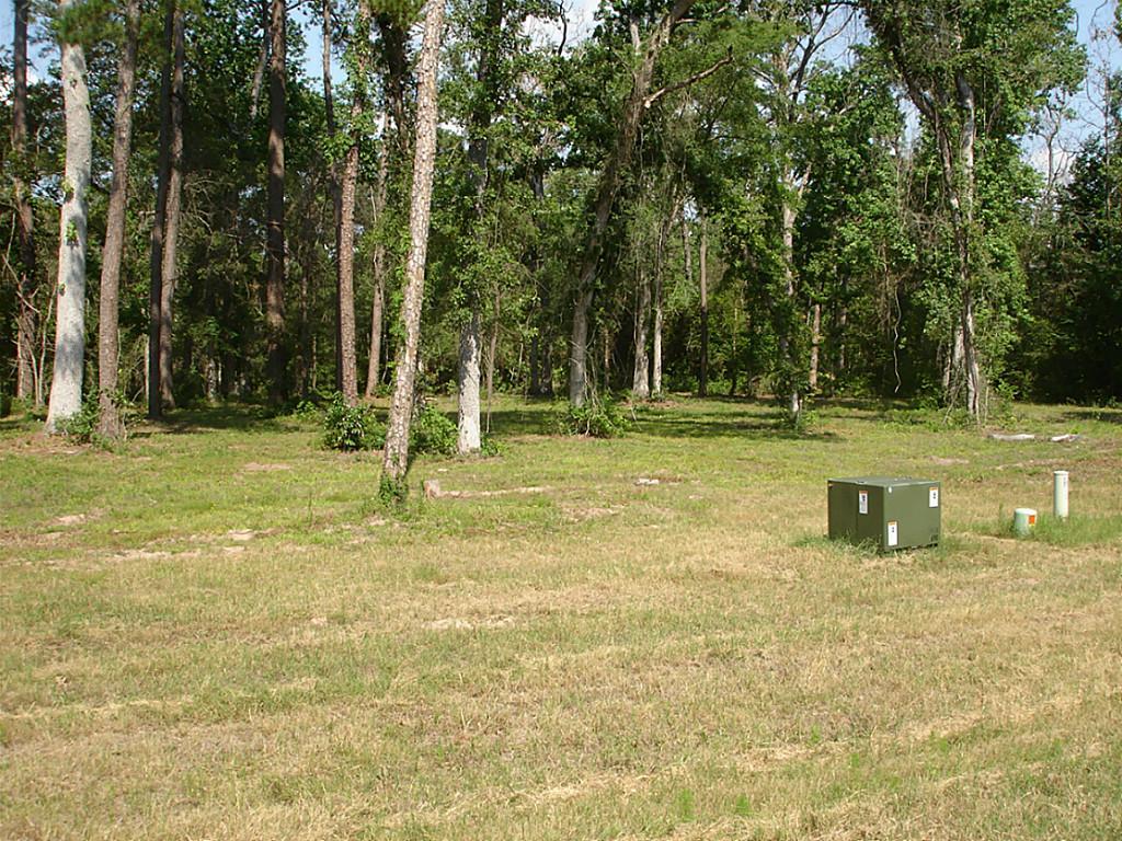 1094 Autumnwood Drive, Magnolia, TX 77354