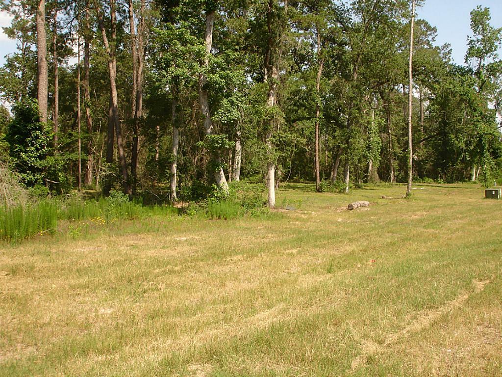 1094 Autumnwood Drive, Magnolia, TX 77354