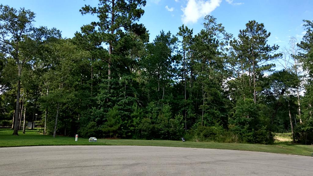 7011 Woodlake Trail, Magnolia, TX 77354