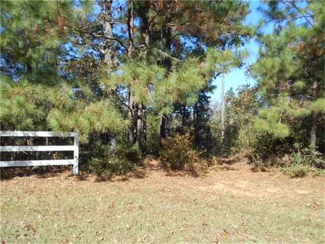 25461 Candleridge Court, Magnolia, TX 77355