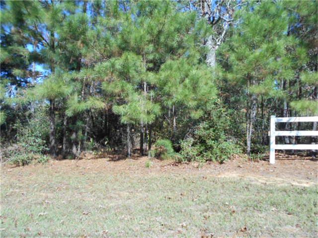 25461 Candleridge Court, Magnolia, TX 77355