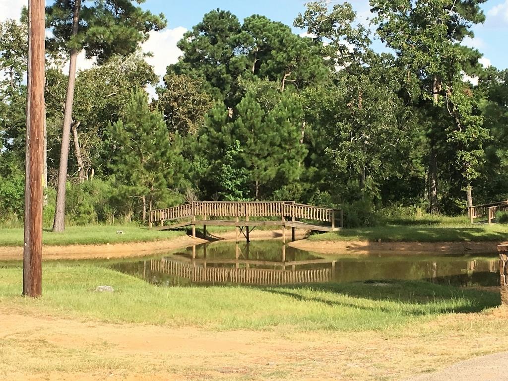 25461 Candleridge Court, Magnolia, TX 77355