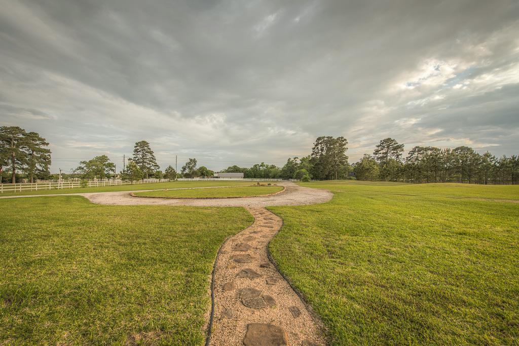 34030 Old Hempstead Road, Magnolia, TX 77355