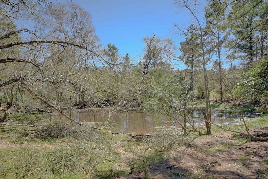 21369 Arnsworth, Montgomery, TX 77356