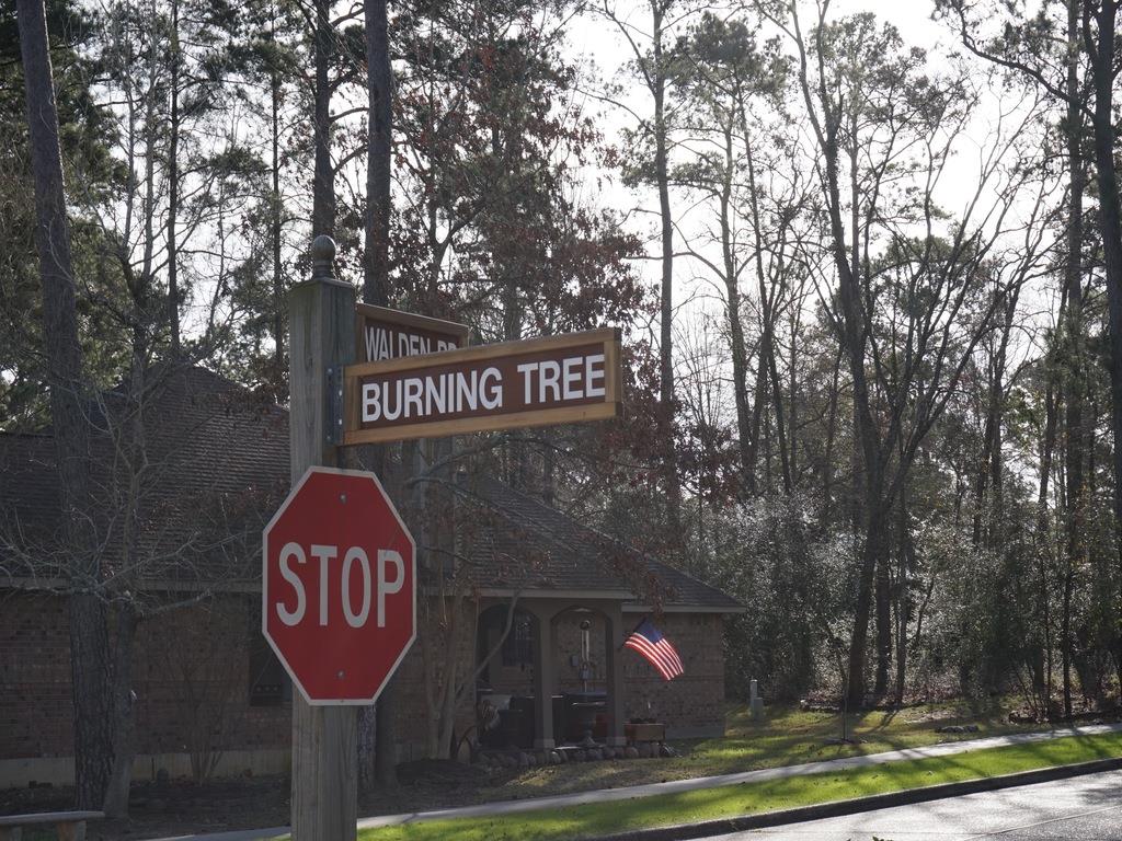 11303 Burning Tree Drive, Montgomery, TX 77356