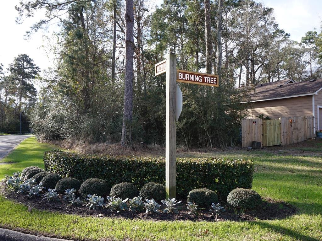 11303 Burning Tree Drive, Montgomery, TX 77356