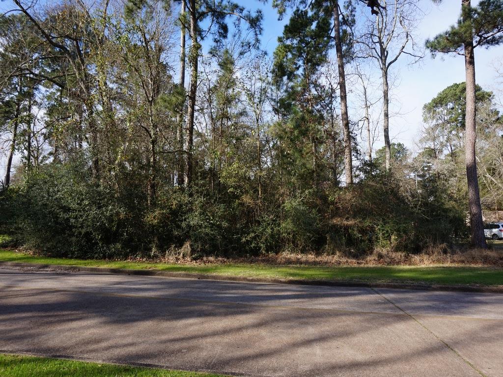 11303 Burning Tree Drive, Montgomery, TX 77356