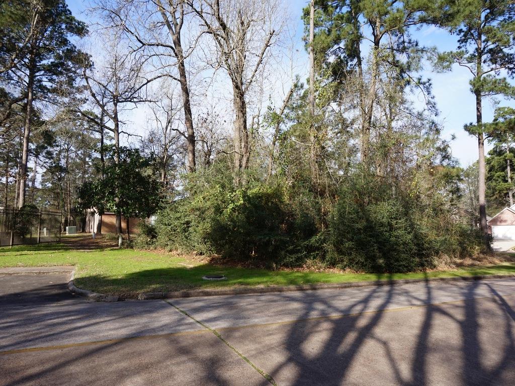 11303 Burning Tree Drive, Montgomery, TX 77356