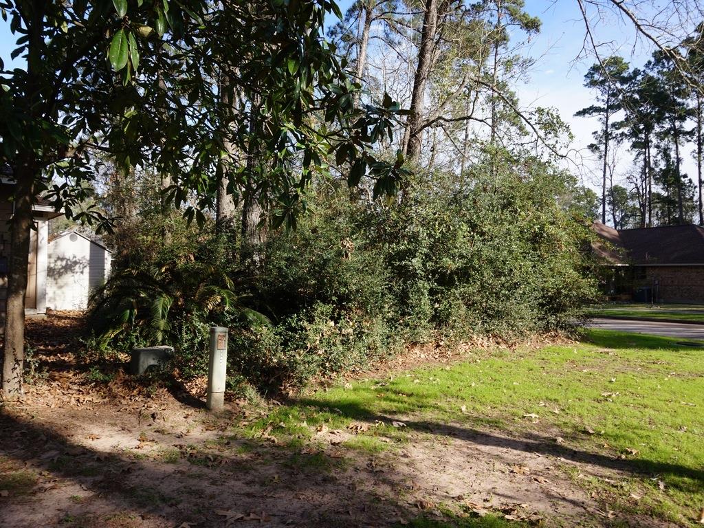 11303 Burning Tree Drive, Montgomery, TX 77356
