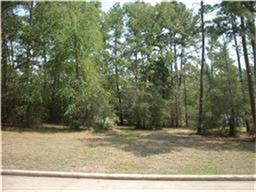 136 Wick Willow, Montgomery, TX 77356