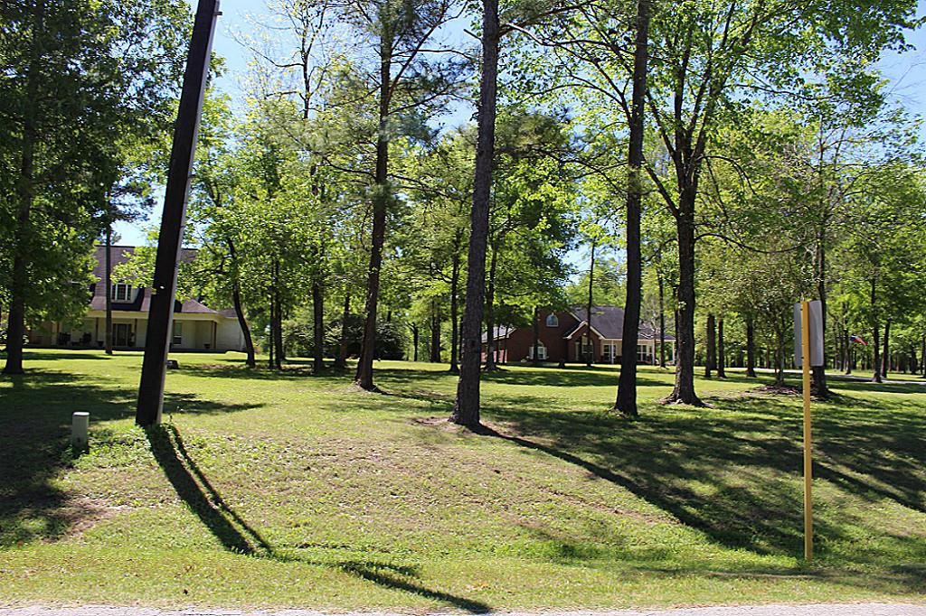 20042 Peel Road, Montgomery, TX 77356