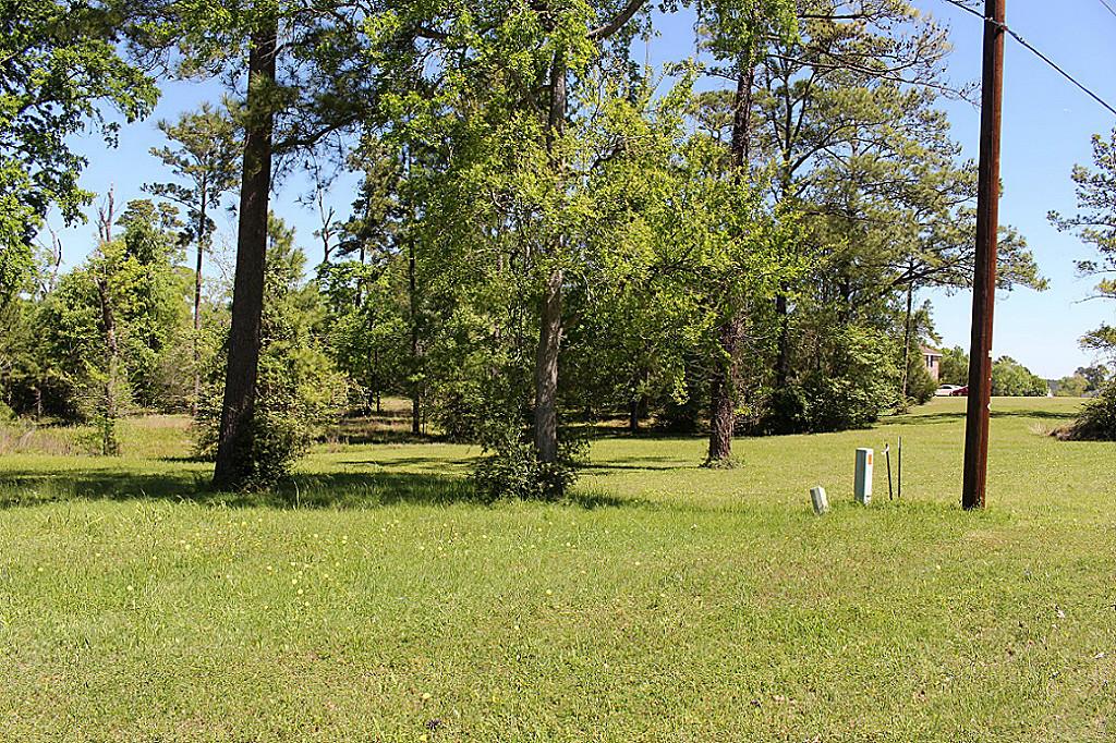 20042 Peel Road, Montgomery, TX 77356
