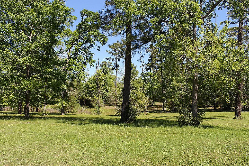 20042 Peel Road, Montgomery, TX 77356