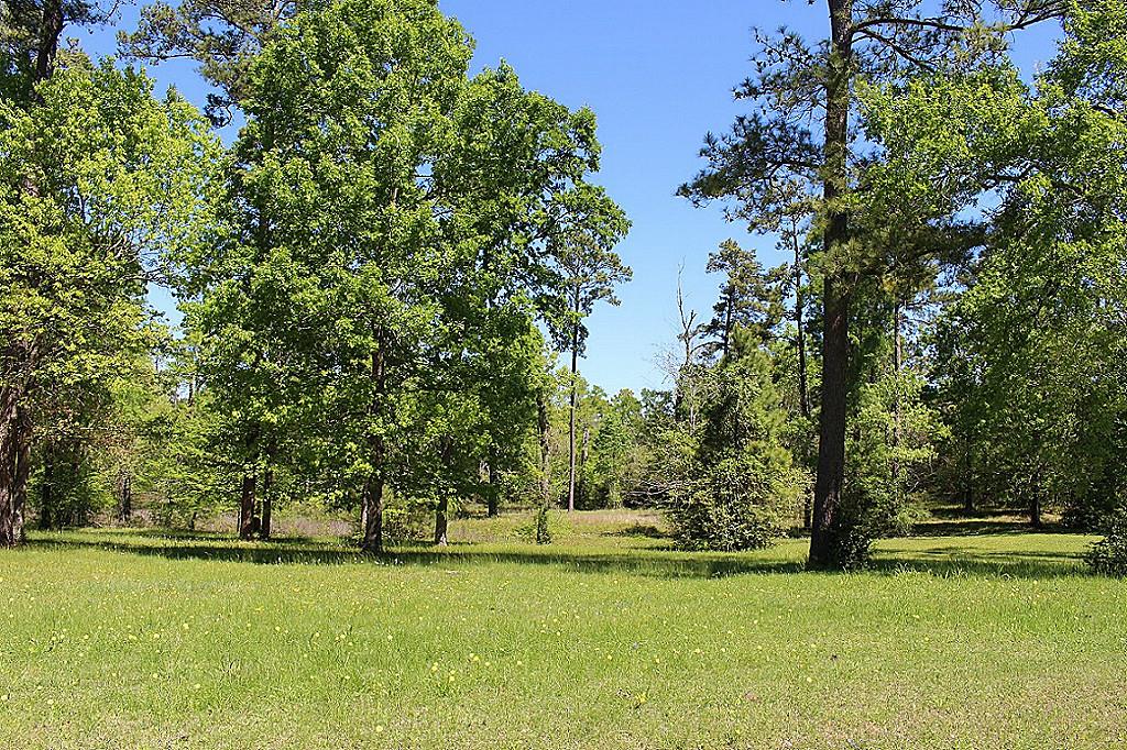 20042 Peel Road, Montgomery, TX 77356
