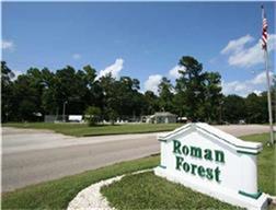 00 Appian Way/Country Club, Roman Forest, TX 77357