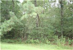 00 Appian Way/Country Club, Roman Forest, TX 77357