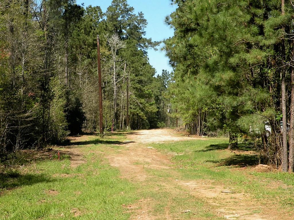 Tba Charred Oak Lane, New Waverly, TX 77358