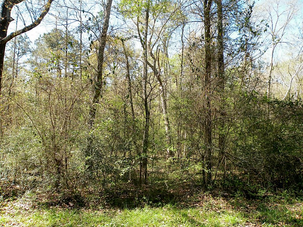 Tba Charred Oak Lane, New Waverly, TX 77358
