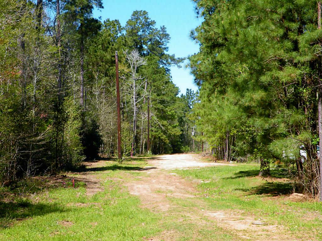 Tba Charred Oak Lane, New Waverly, TX 77358
