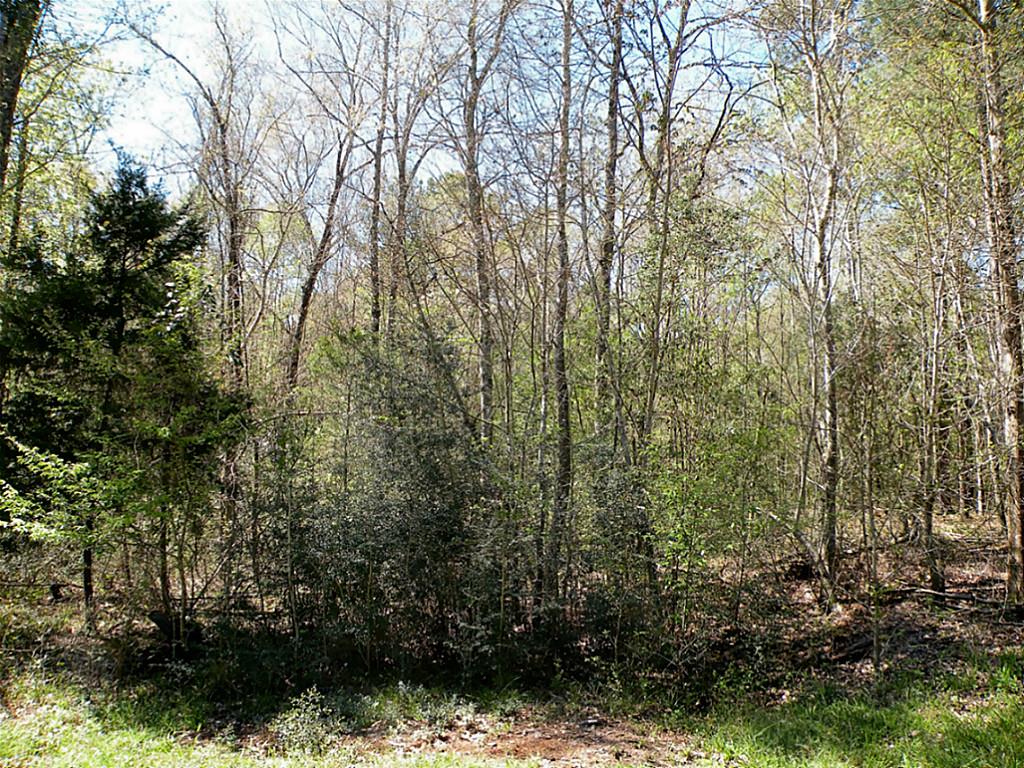 Tba Charred Oak Lane, New Waverly, TX 77358