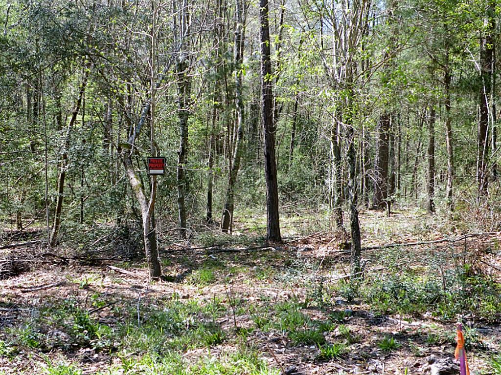 Tba Charred Oak Lane, New Waverly, TX 77358