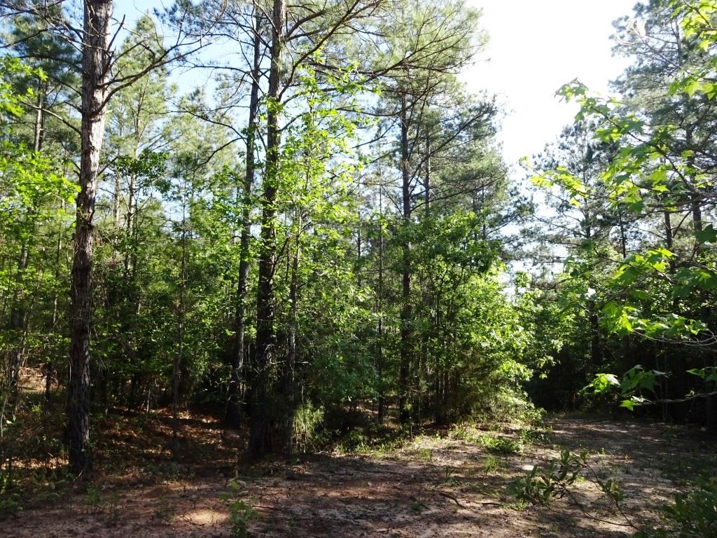 6a Felix Curry, Oakhurst, TX 77359