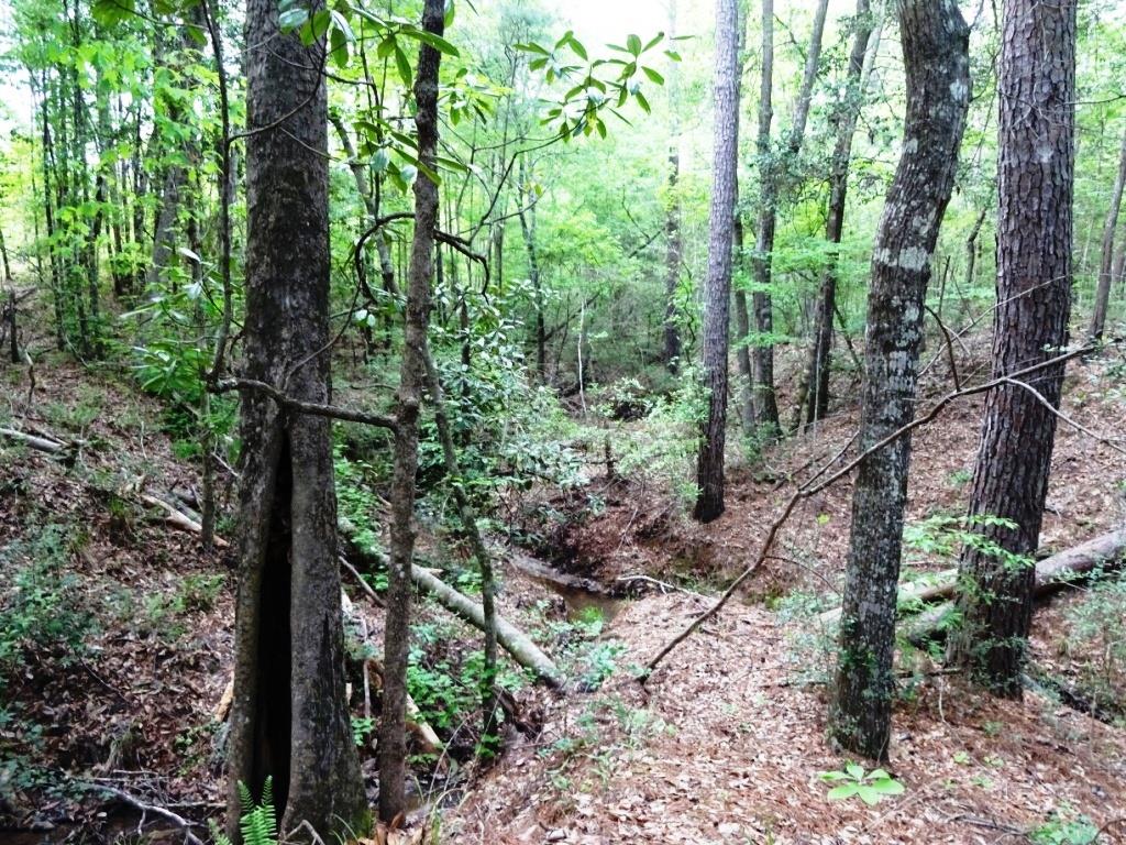 6a Felix Curry, Oakhurst, TX 77359