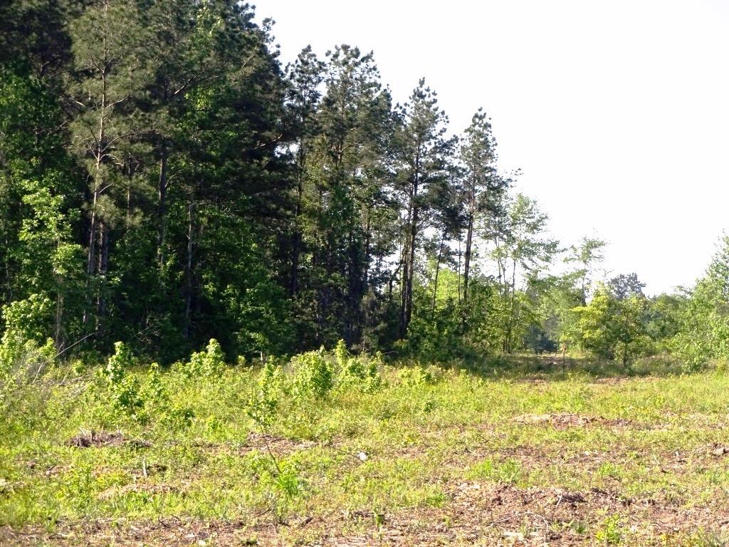 6a Felix Curry, Oakhurst, TX 77359