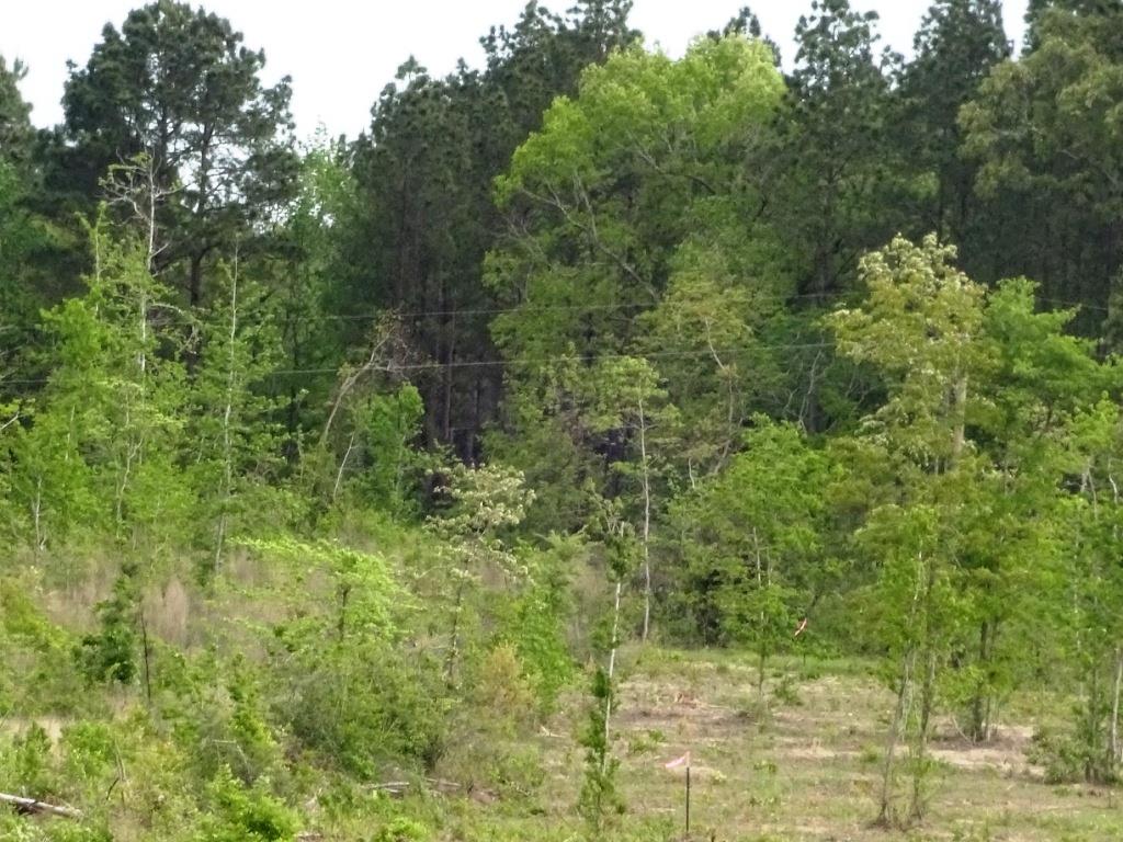 6a Felix Curry, Oakhurst, TX 77359