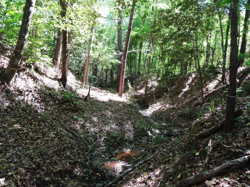 6a Felix Curry, Oakhurst, TX 77359