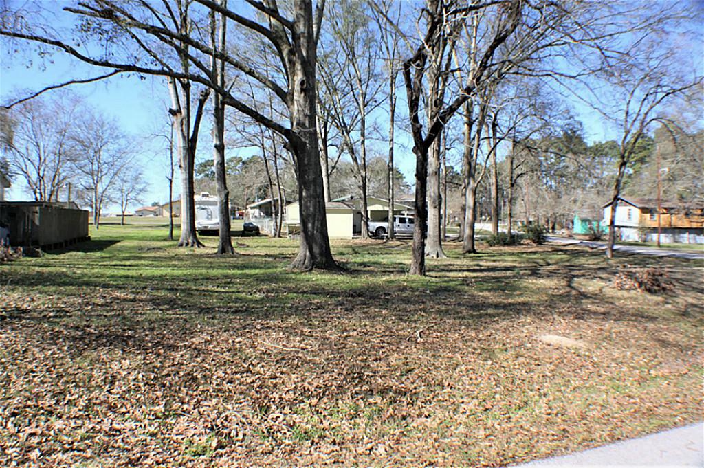 000 5th, Onalaska, TX 77360