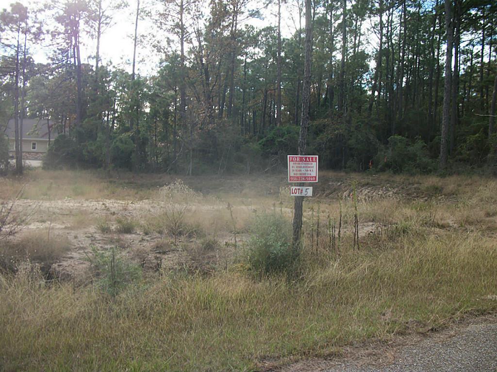 533 Wildwood Harbor Circle, Onalaska, TX 77360
