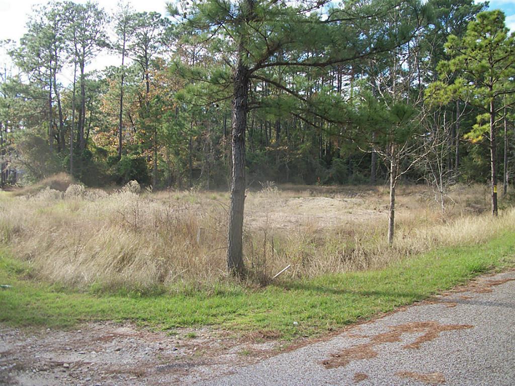 533 Wildwood Harbor Circle, Onalaska, TX 77360