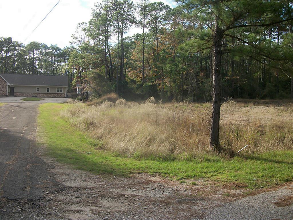 533 Wildwood Harbor Circle, Onalaska, TX 77360
