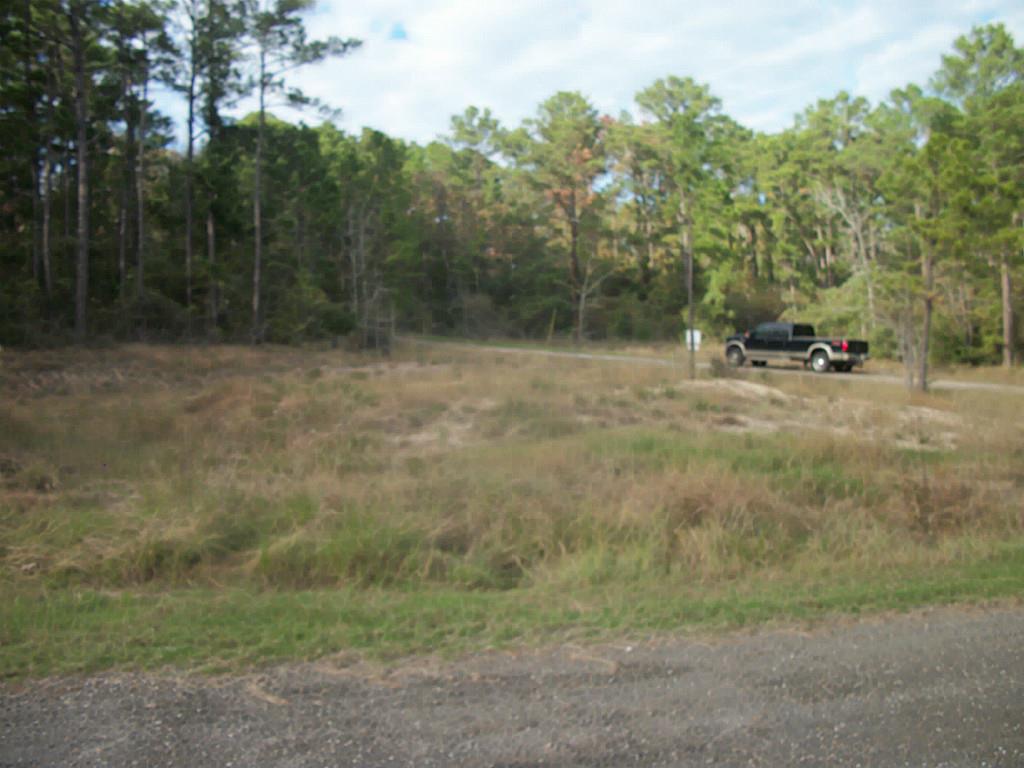 533 Wildwood Harbor Circle, Onalaska, TX 77360