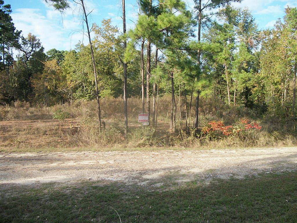 416 Arrowhead Drive, Onalaska, TX 77360