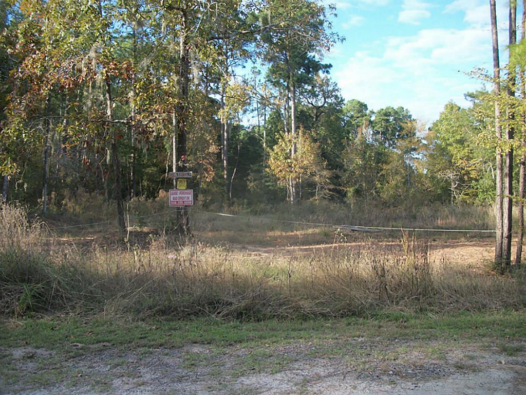 442 Arrowhead Drive, Onalaska, TX 77360