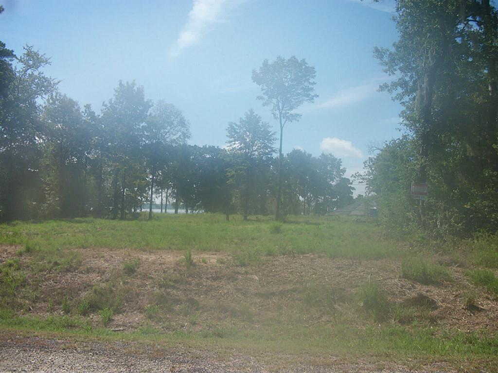 442 Arrowhead Drive, Onalaska, TX 77360