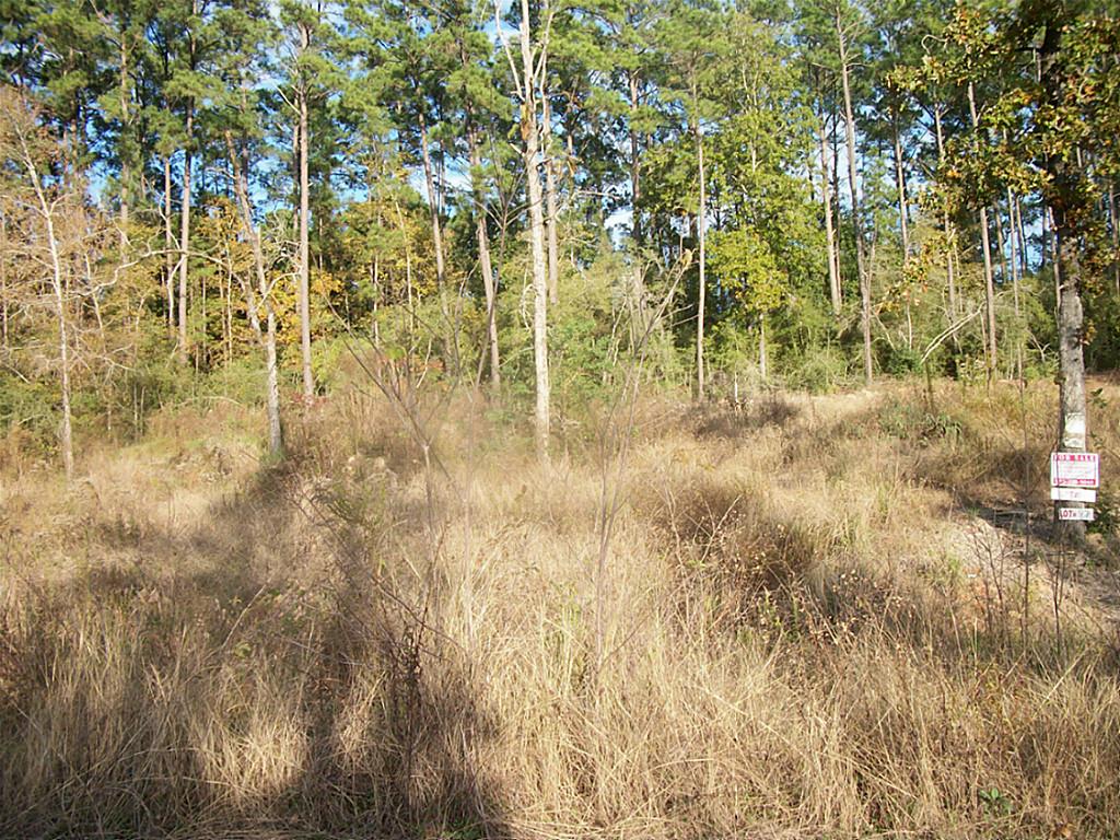 497 Valley View Drive, Onalaska, TX 77360